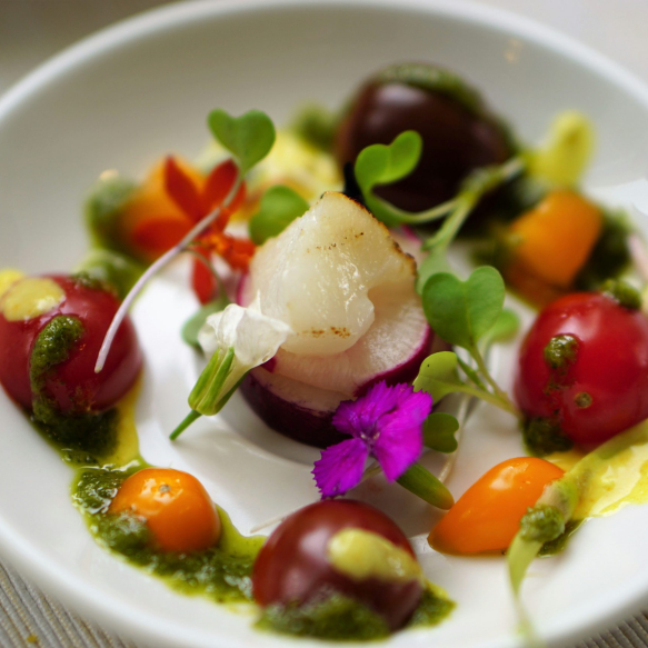 Private Chef in Portugal Starter